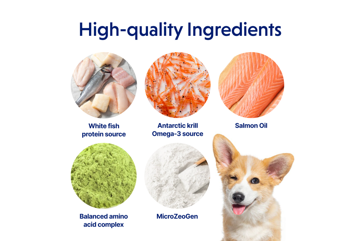 Adult Dogs Food for Light Coat Large Breeds with White Fish