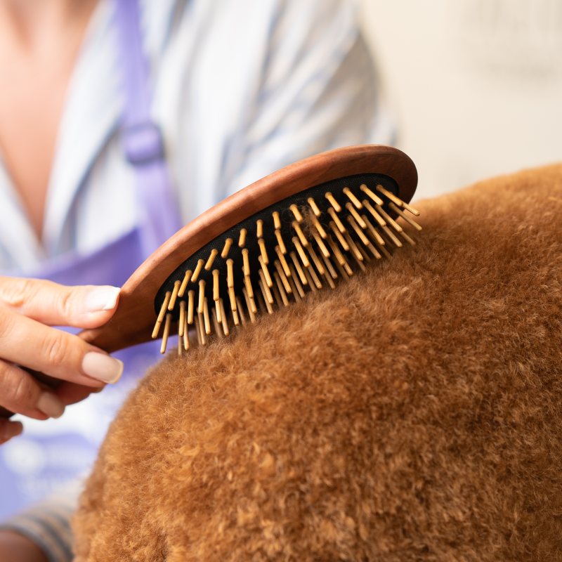 Oval Pearwood Grooming Brush with Natural Wood Pins