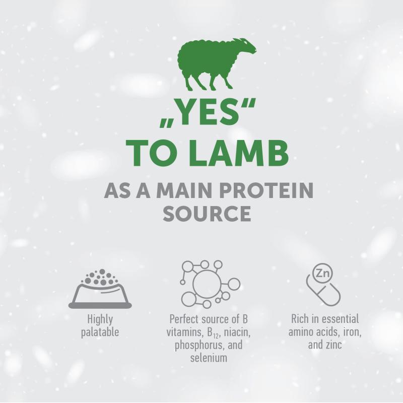 Grain-Free Lamb Dog Treats for Adult Dogs – Complementary Snacks to Support Stamina and Endurance