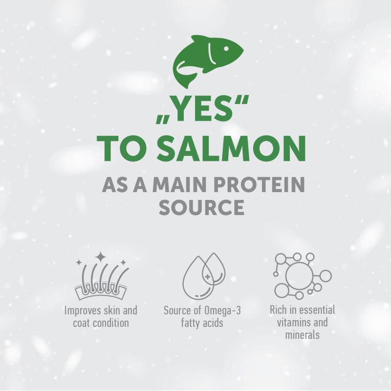 “Grain-Free Complementary Dog Treats with Salmon for Junior Dogs – Supports Sensitive Care