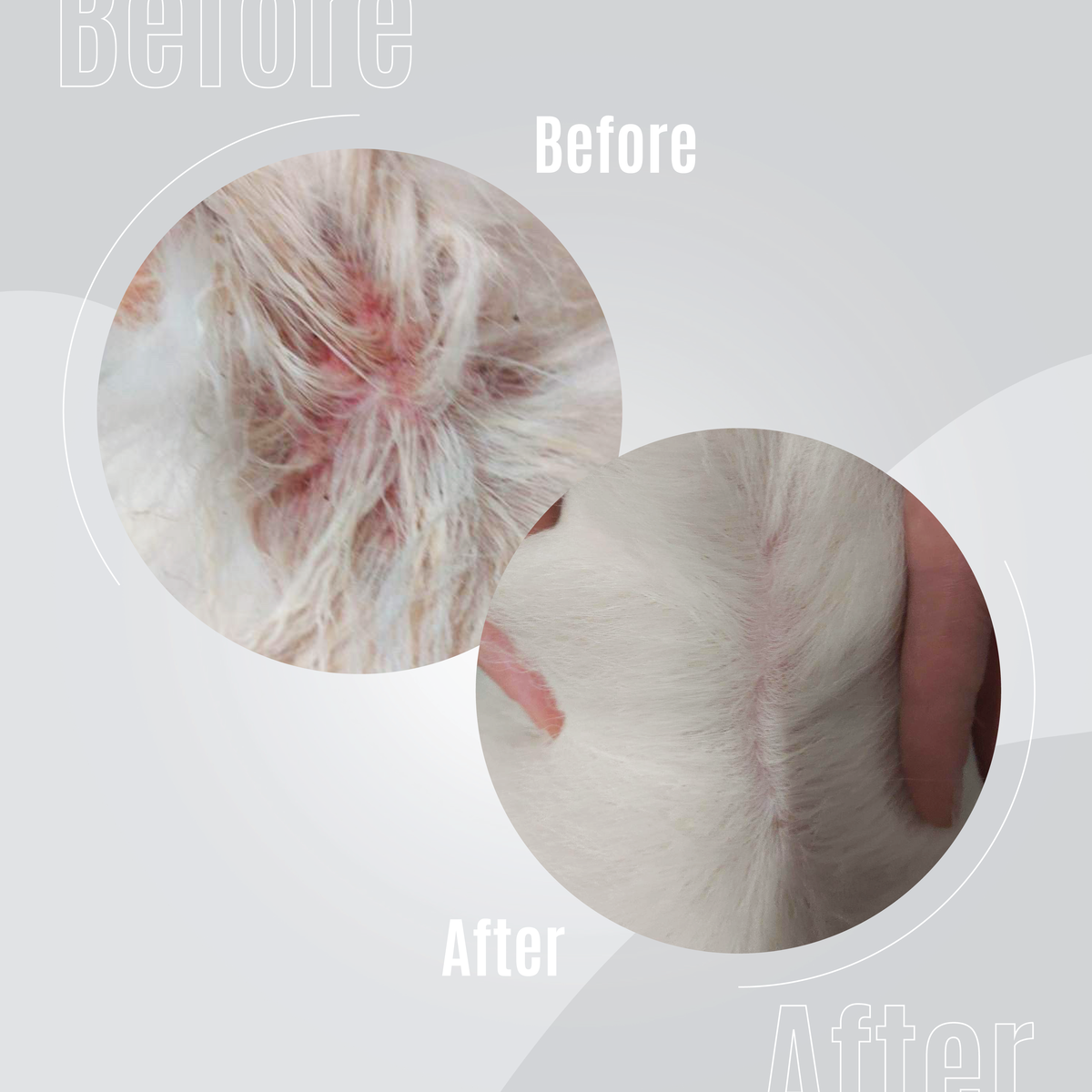 No. 3 Calming Hair Elixir – Anti-Itch Care for Dogs & Cats