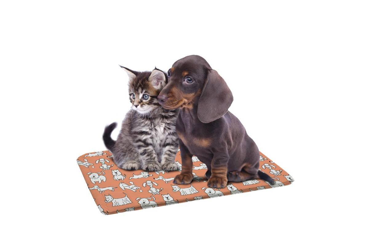 Ultra Absorbent Reusable Puppy Training Pad