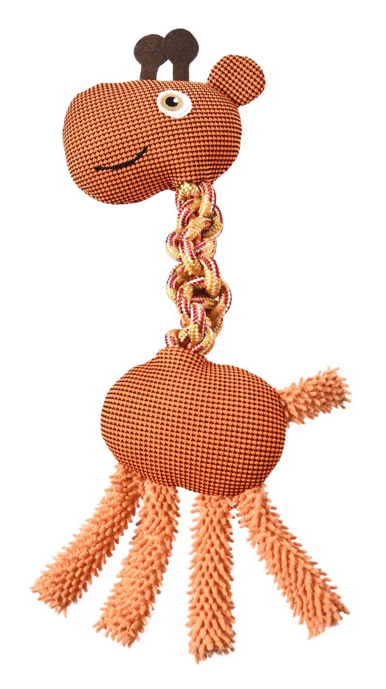 Play & Train Giraffe Toy