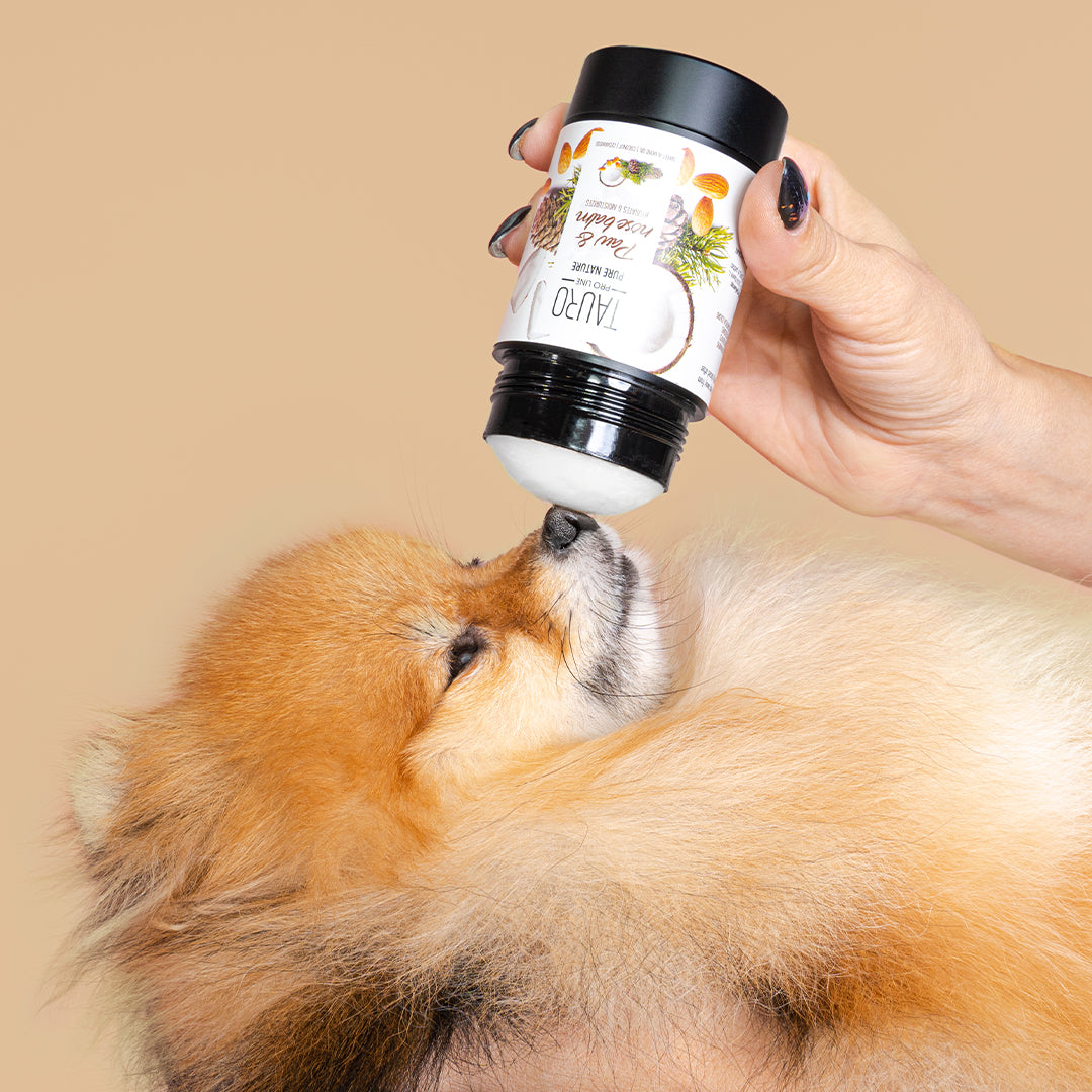 97% Natural Moisturizing Paw and Nose Balm for Dogs & Cats