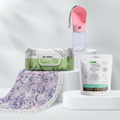 Summer Picnic Bundle
