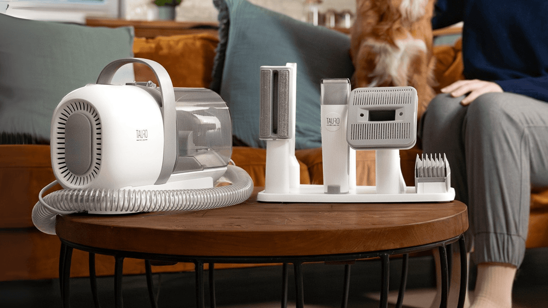 5 Pet-Friendly Home Hacks for Cleaner Floors and Less Fur - Kika USA SuperiorCare.Pet