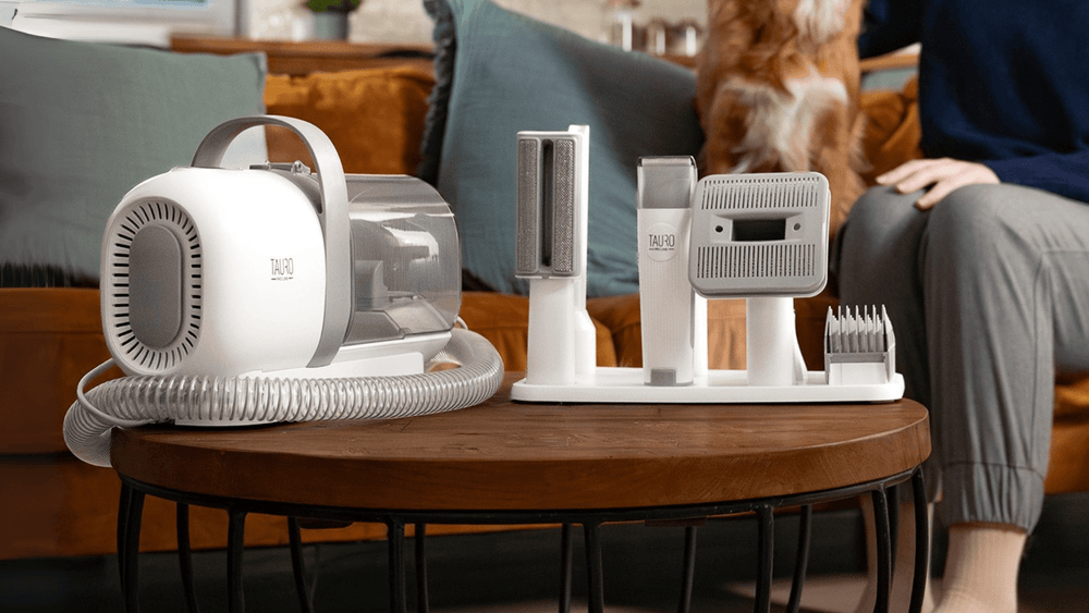 5 Pet-Friendly Home Hacks for Cleaner Floors and Less Fur - Kika USA
