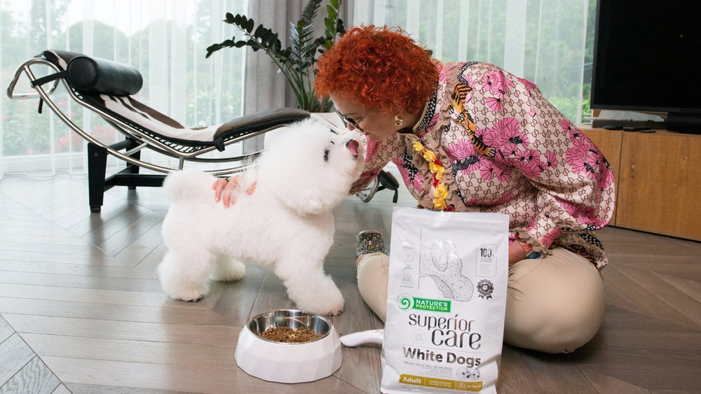 Best Dog Food For White Dogs: What Is The White Dogs Food And How Does It Work? - Kika USA