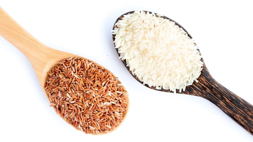 Brown Rice vs. White Rice in Pet Food - Which Is Better for Your Pet? - Kika USA