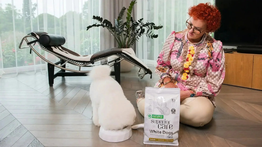 Can Dogs Eat the Same Dry Food Their Whole Life? - Kika USA SuperiorCare.Pet
