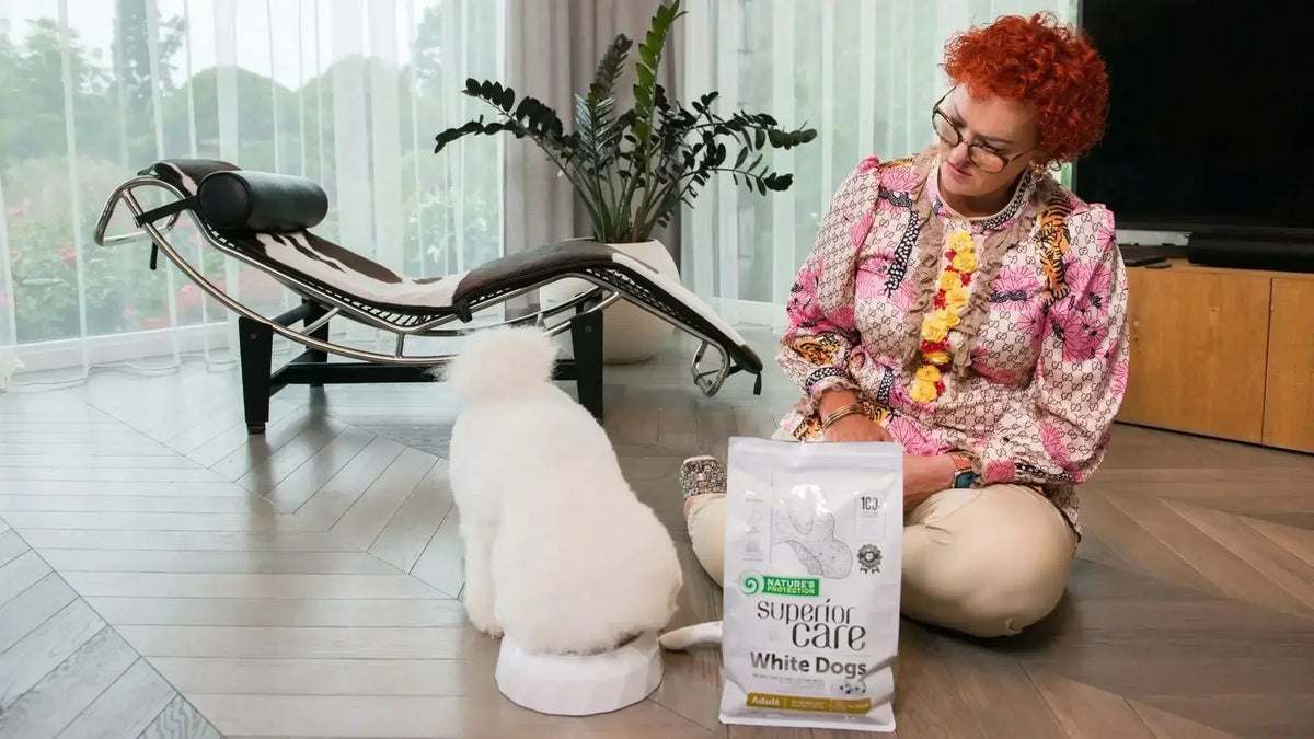 Can Dogs Eat the Same Dry Food Their Whole Life?