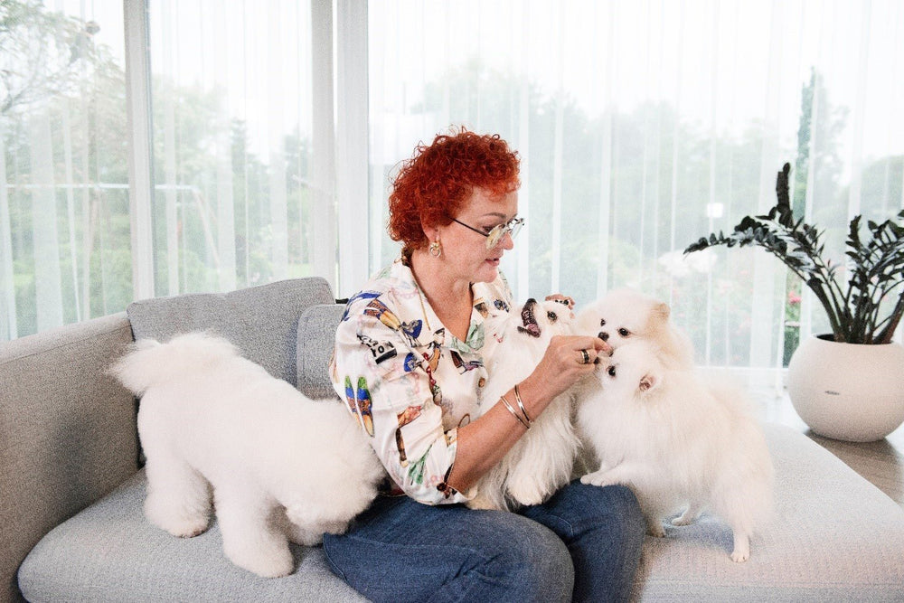 Can My Dog Be Allergic To Dog Food: Exploring The Link Between Canine Diet And Allergies - Kika USA