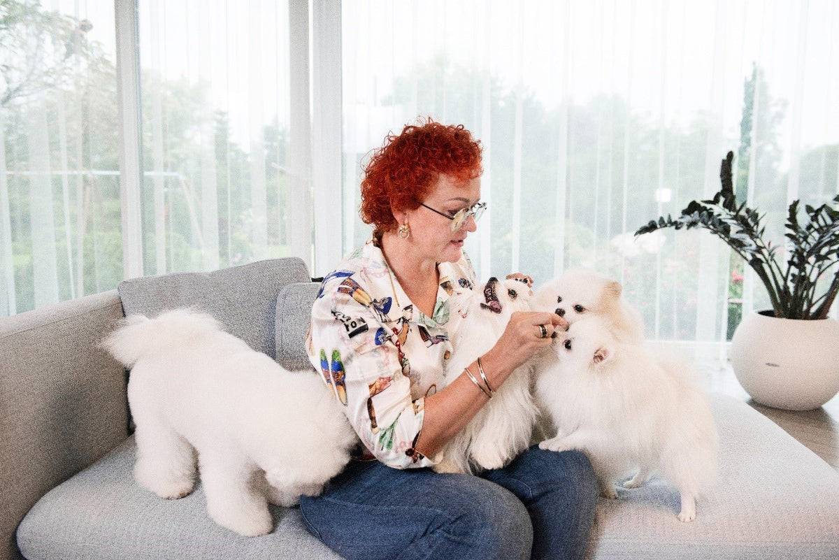 Can My Dog Be Allergic To Dog Food: Exploring The Link Between Canine Diet And Allergies