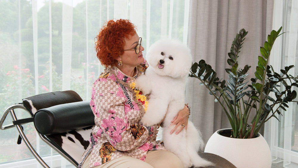 Does your dog have allergies? - Kika USA
