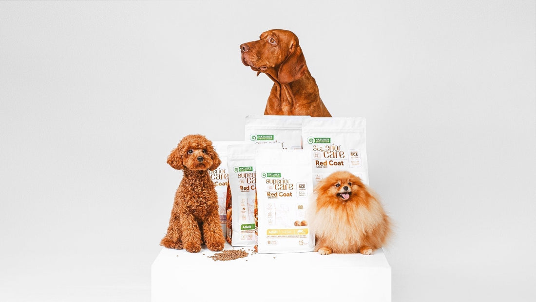 Dog Fur Discoloration: What Causes Dog Fur Discoloration? - Kika USA SuperiorCare.Pet
