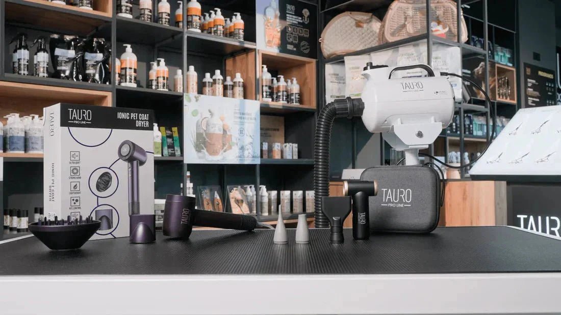 Dryers That Speed Up Grooming Time