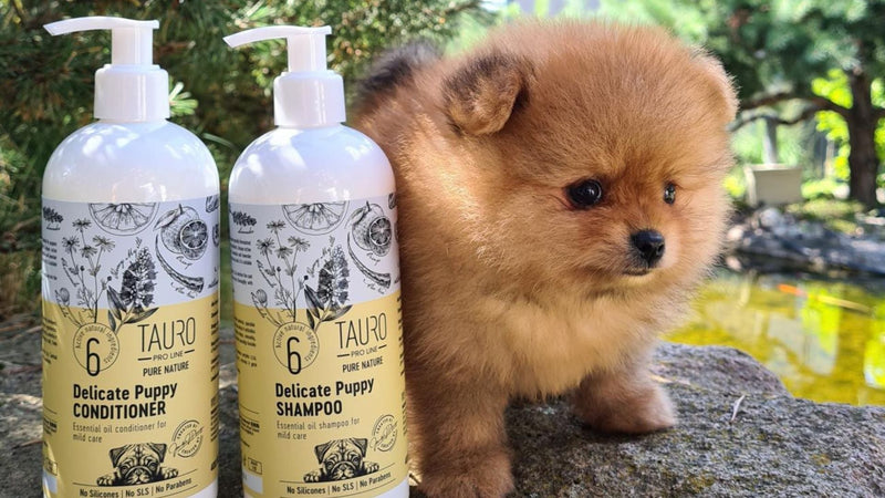 Essential Oils In Skin & Coat Care Products: Are Dogs Allergic To Essential Oils?