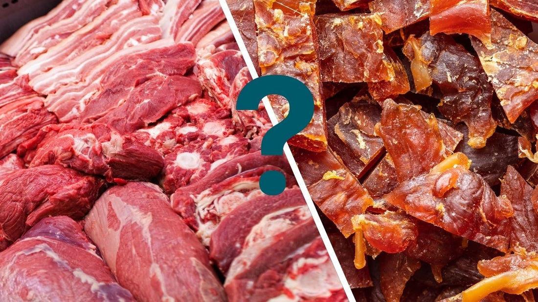 Fresh Meat vs. Meat Meal in Dry Dog Food: Which is Better? - Kika USA SuperiorCare.Pet