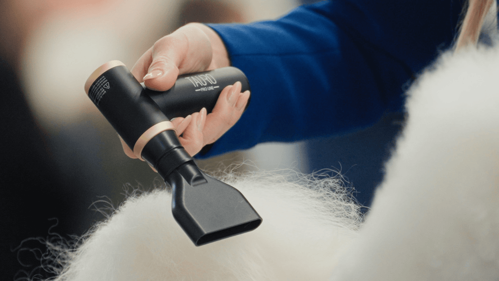 Grooming Just Got Smarter: Meet the Tauro Mini Pet Dryer - Kika USA SuperiorCare.Pet