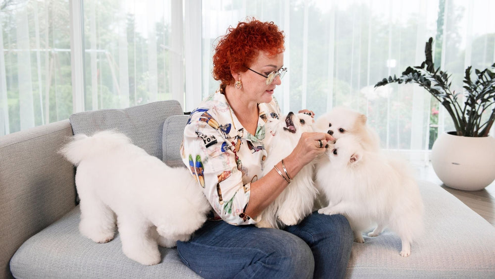 How Dog Treats Have Evolved: From Working Rewards to Modern Delicacies - Kika USA