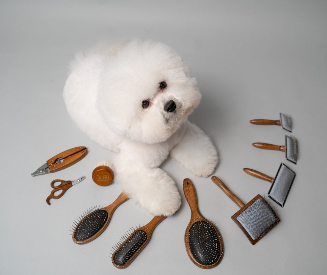 How to choose a brush for your dog? - Kika USA SuperiorCare.Pet