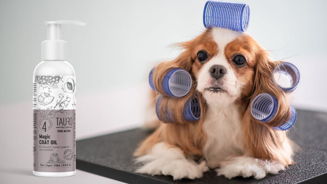 How to Restore a Damaged and Dull Coat: A Complete Guide - Kika USA SuperiorCare.Pet