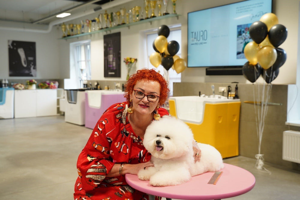 I want to open a grooming salon. How should I start? - Kika USA