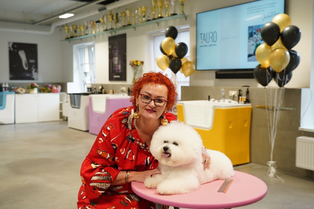 I want to open a grooming salon. How should I start? - Kika USA