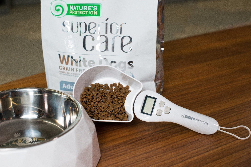 Insect Protein For Dogs: Is Insect Protein Good For Dogs? - Kika USA