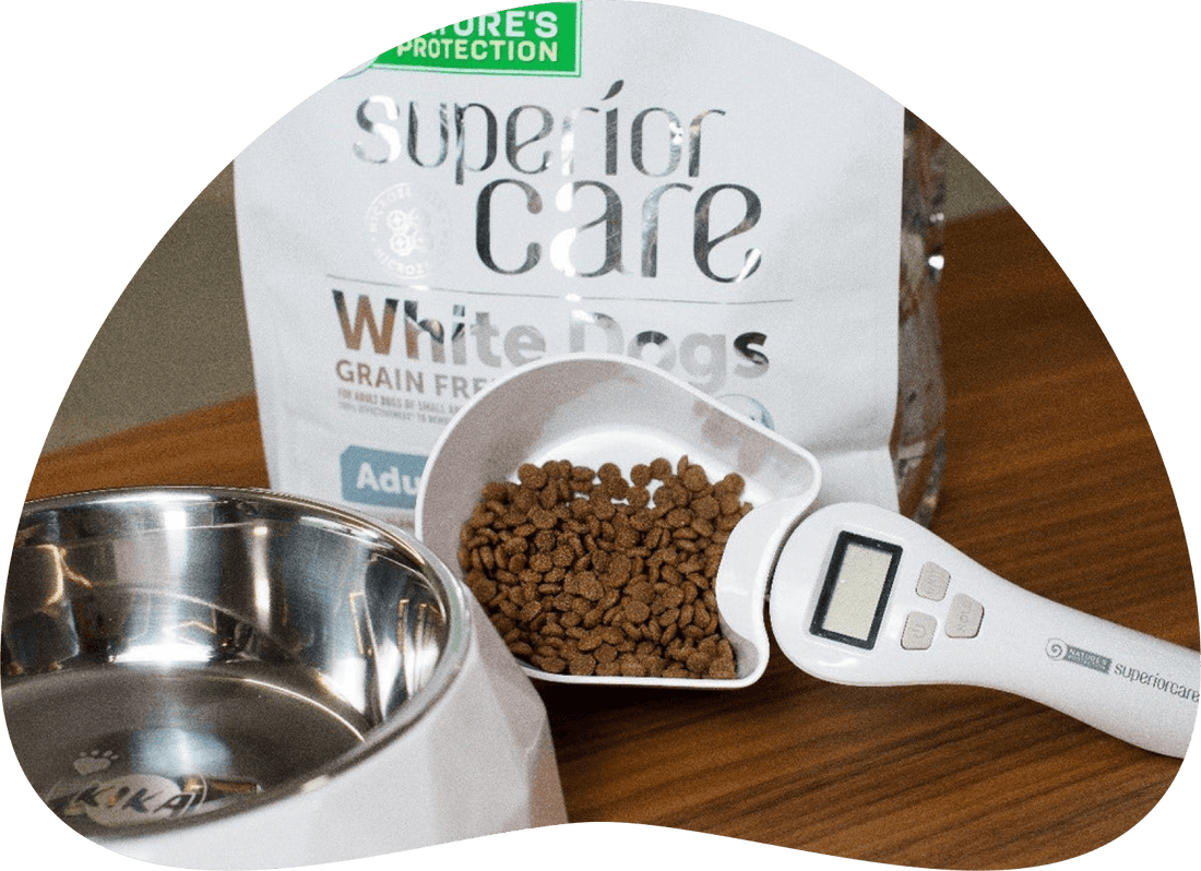 Is Norming Food Portions for Dogs Just a Myth? Exploring the Truth About Feeding Practices - Kika USA SuperiorCare.Pet