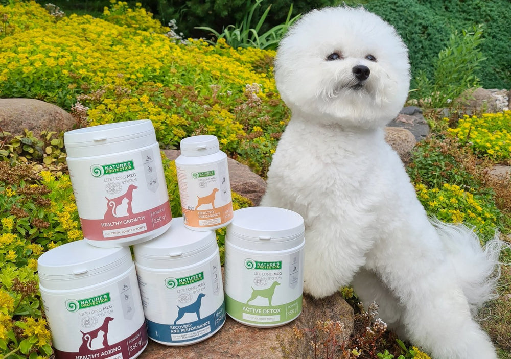 Microzeogen: A Natural Solution for Pet Health and Wellness - Kika USA SuperiorCare.Pet