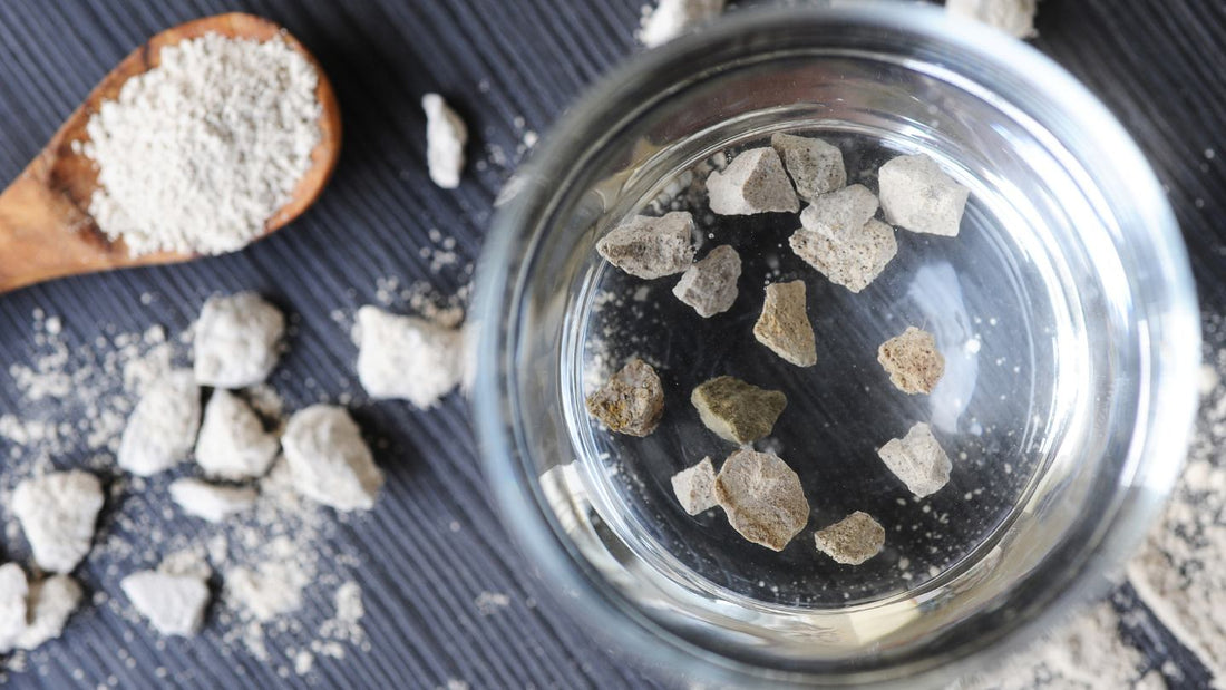 MicroZeoGen: The Hidden Hero in Your Pet's Bowl - Kika USA SuperiorCare.Pet