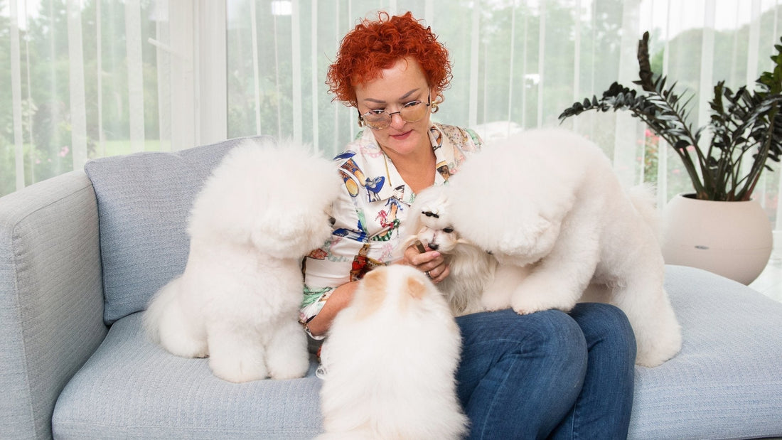 My Healthy Pet Formula - Kika USA SuperiorCare.Pet