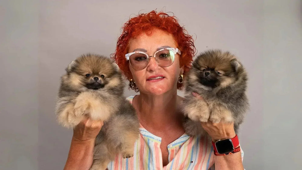 New Puppy Checklist: 10 Things You Need Before Bringing Home a New Puppy - Kika USA SuperiorCare.Pet