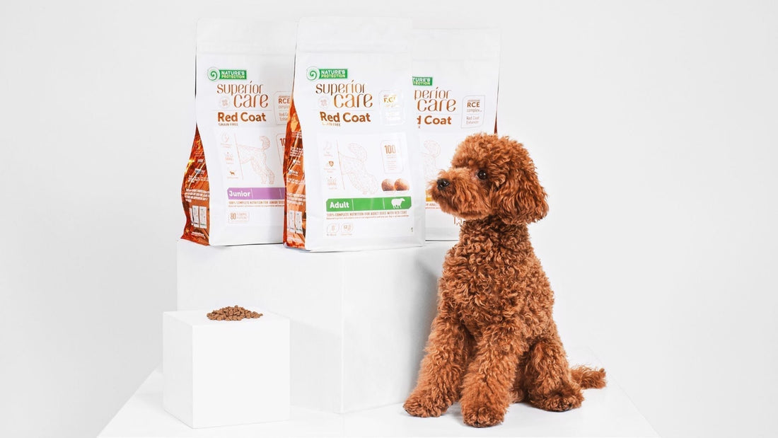 Red Coat Food: The Best Diet for Your Dog’s Coat Health - Kika USA SuperiorCare.Pet