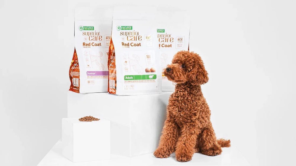 Red Coat Food: The Best Diet for Your Dog’s Coat Health - Kika USA