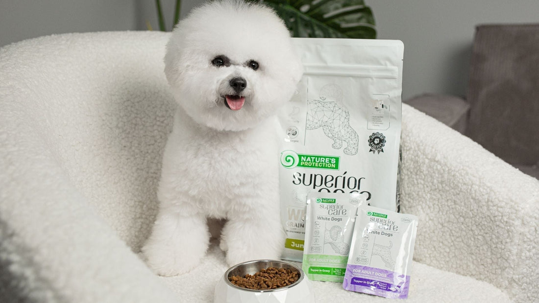 The Best Food for Dogs with Sensitive Stomachs in 2026 - Kika USA