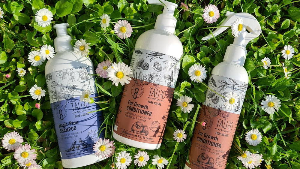 The Rise of Essential Oils in Pet Bathing Products: A Natural Choice for Your Furry Friends - Kika USA SuperiorCare.Pet