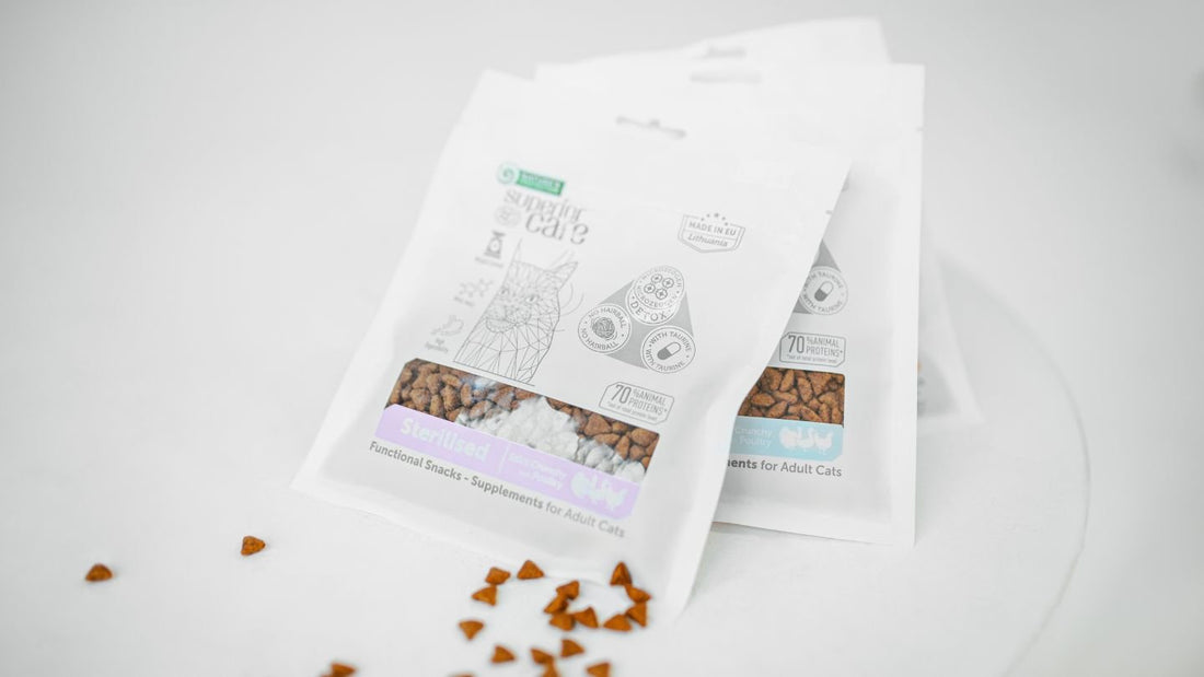 The Ultimate Guide to Weight Management for Sterilized Cats - Kika USA SuperiorCare.Pet