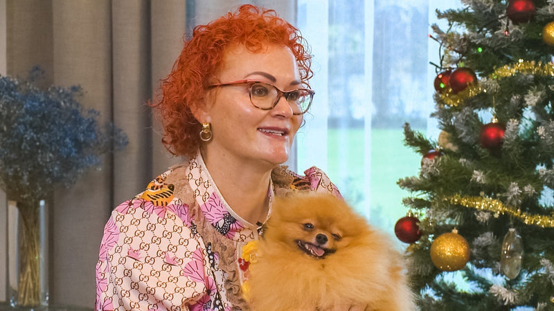 TOP 8 gift ideas for your pet