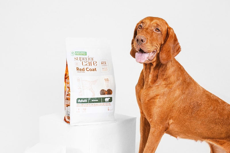 Unlocking the Power of RCE for Dogs: Understanding the Unique Formula behind the Color of Dog Fur