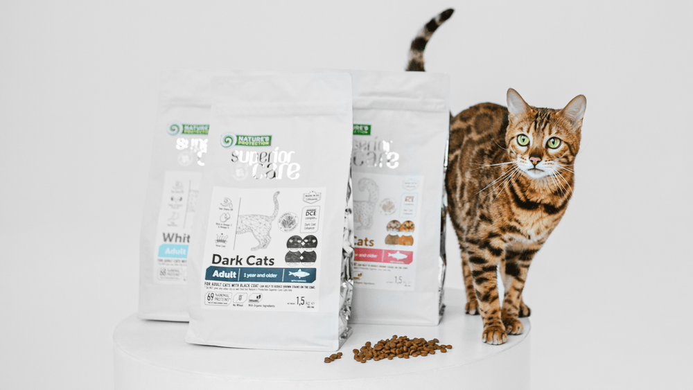Wet vs Dry Cat Food: Which Is Better for Your Cat? - Kika USA SuperiorCare.Pet