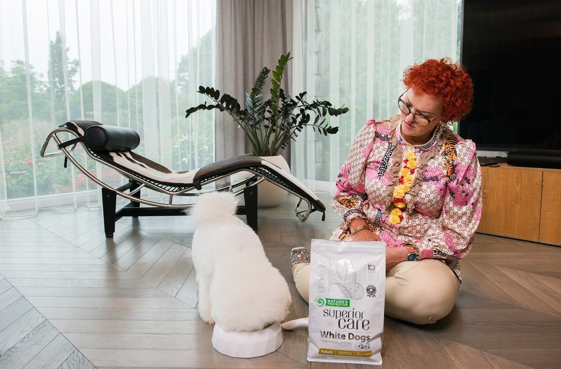 What Do You Feed A Dog With Diarrhea: Best Diet For A Dog With Diarrhea - Kika USA SuperiorCare.Pet