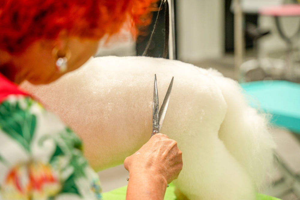 What is it like to be a pet groomer ? - Kika USA SuperiorCare.Pet