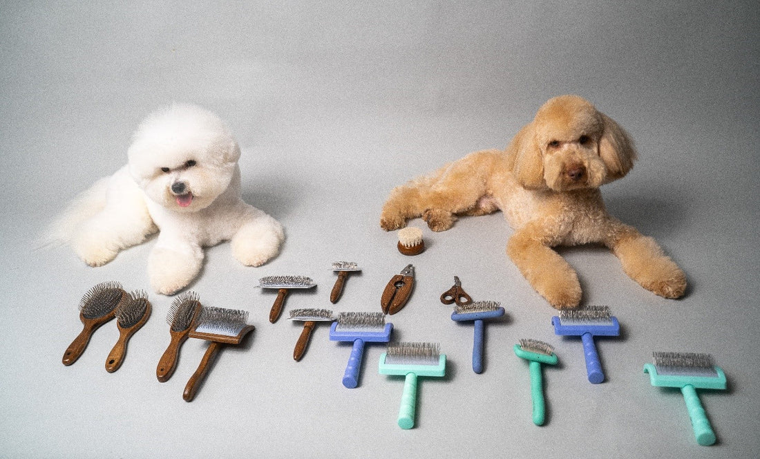 Are Slicker Brushes Suitable For Dogs: Which Is Best For Your Pet? - Kika USA SuperiorCare.Pet