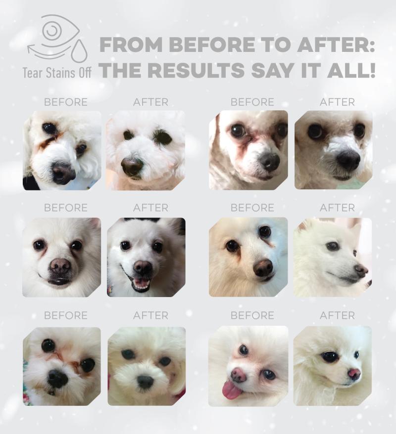 Adult Light Coated Dogs Supplemental Dental Snacks with White Fish