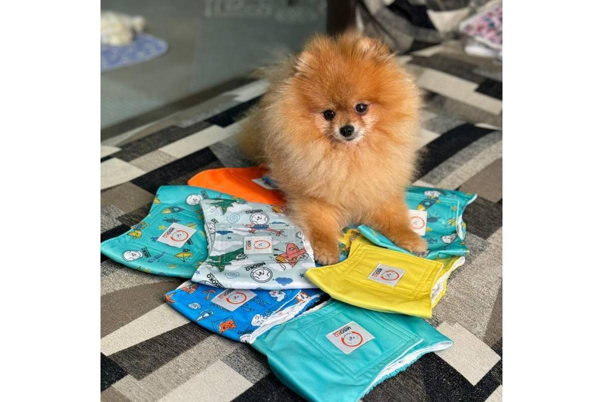 Premium Reusable Female Dog Diapers – 3 Pack, Odor Control & Leakproof