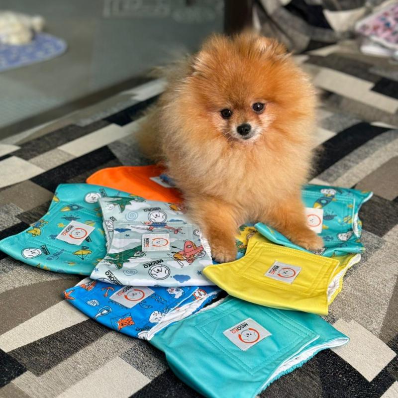 Reusable Male Dog Belly Bands – 3 Pack, Leakproof & Ultra Absorbent