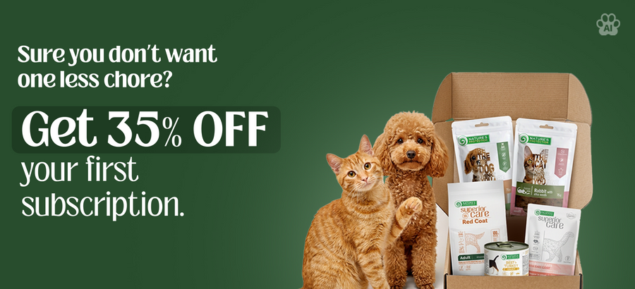 Dry Dog Food