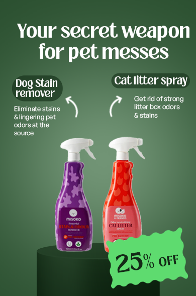Stain & Odor Removers